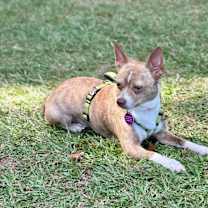 Thumbnail photo of Tony #3