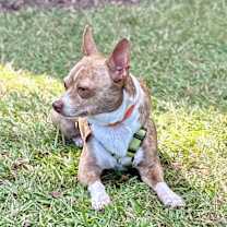 Thumbnail photo of Tony #4