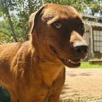 Thumbnail photo of Lola #3