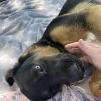 Thumbnail photo of Vicky #2