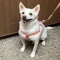 Thumbnail photo of Binnie #3