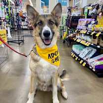 Thumbnail photo of Lucas #1