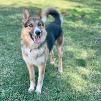 Thumbnail photo of Lucas #2