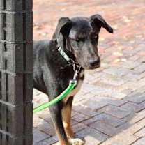 Thumbnail photo of Pilot #2