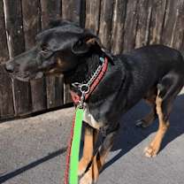 Thumbnail photo of Pilot #3