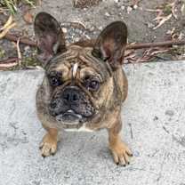 Thumbnail photo of Montly #2