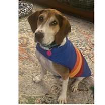 Thumbnail photo of Huck #4