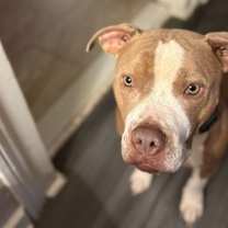 Thumbnail photo of Rubble #1