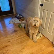 Thumbnail photo of Winnie #4