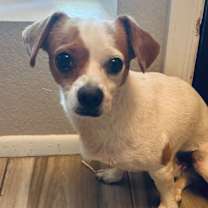 Thumbnail photo of Eddie #3