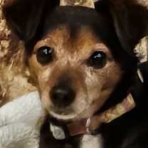 Thumbnail photo of Margo #1