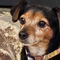 Thumbnail photo of Margo #2