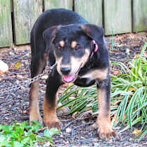 Thumbnail photo of ZURI #3