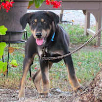 Thumbnail photo of ZEINA #1