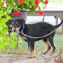 Thumbnail photo of ZEINA #2