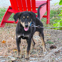 Thumbnail photo of ZEINA #3