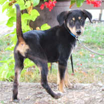 Thumbnail photo of ZEINA #4