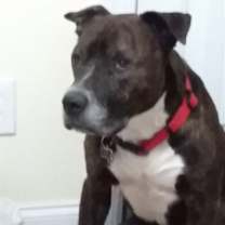 Thumbnail photo of BOSS #2