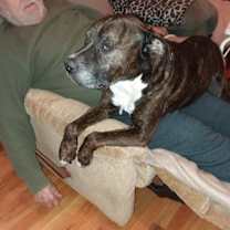 Thumbnail photo of BOSS #3