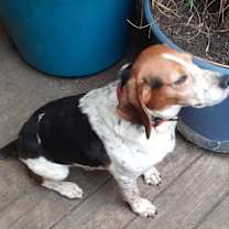 Thumbnail photo of Hunter #3