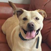 Thumbnail photo of Casper #1