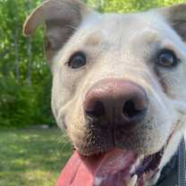 Thumbnail photo of Casper #2