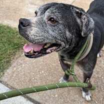 Thumbnail photo of Mr. Irving #1