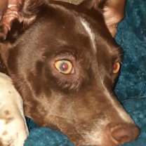 Thumbnail photo of Danny- KY #2