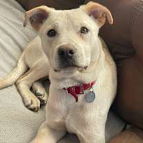 Thumbnail photo of Casper #4