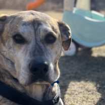 Thumbnail photo of Otis #2