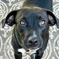 Thumbnail photo of Checker #1