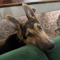 Thumbnail photo of Atlas #2