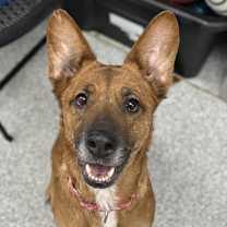 Thumbnail photo of Melillo #4