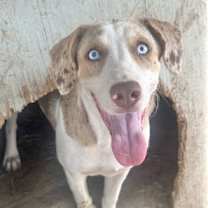 Thumbnail photo of Liberty #2