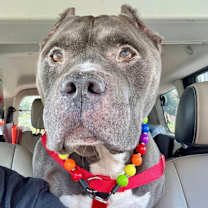 Thumbnail photo of Daryl #1