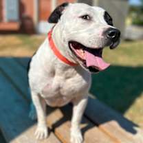 Thumbnail photo of Mrs. Manfredi #3