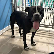 Thumbnail photo of Hilliard #2