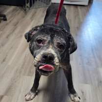 Thumbnail photo of Mr. Irving #2