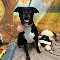 Thumbnail photo of Ruby #1