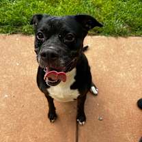 Thumbnail photo of Ruby #2