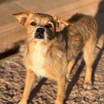 Thumbnail photo of Gus #2