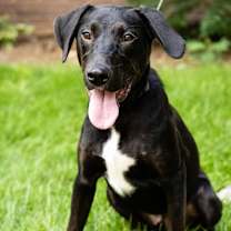 Thumbnail photo of Theo #2