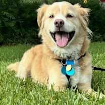 Thumbnail photo of Ryland Micah #1