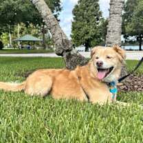 Thumbnail photo of Ryland Micah #2