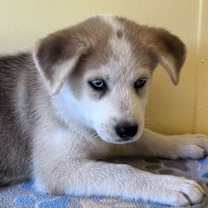 Thumbnail photo of Elliot #3