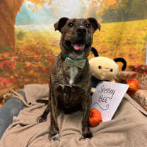 Thumbnail photo of Beamer #1