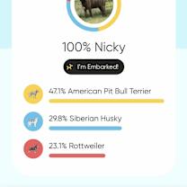 Thumbnail photo of June #4