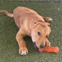 Thumbnail photo of Aria #4