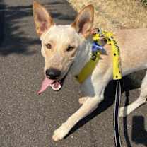 Thumbnail photo of Canyon #1