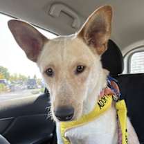 Thumbnail photo of Canyon #2